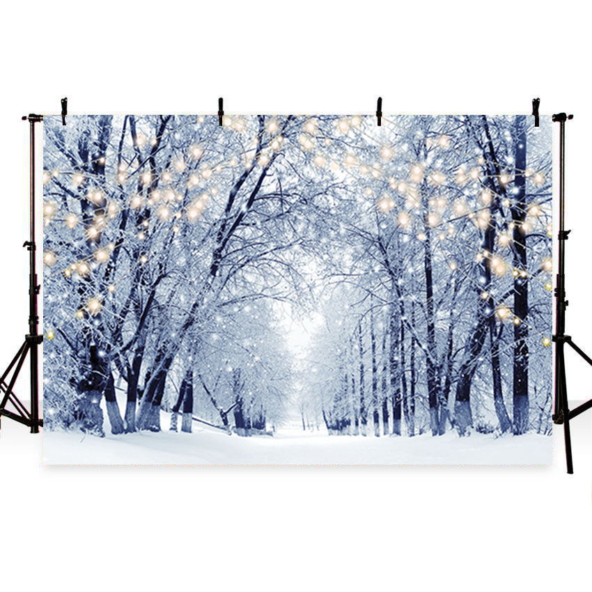 Toile de fond de paysage d'hiver d'arbres givrés pour la photographie SBH0244