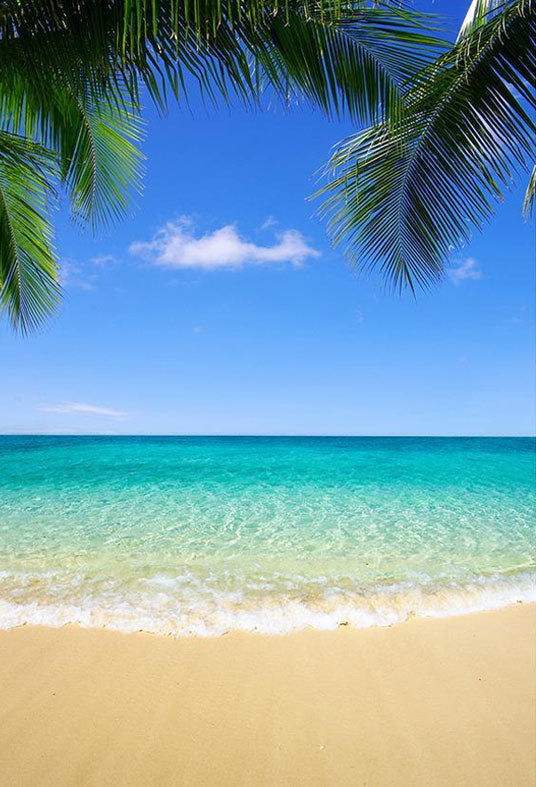 Toile de fond de la mer bleue et de la plage de sable pour la photographie de paysages de bord de mer d'été