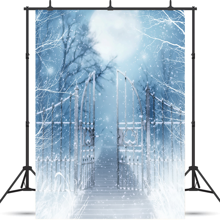 Toile de fond de paysage de neige d'hiver avec porte pour la photographie SBH0285