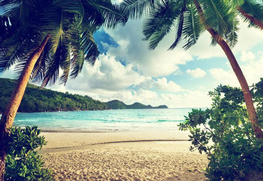 Toile de fond de photographie de plage de sable de mer pour les vacances d'été