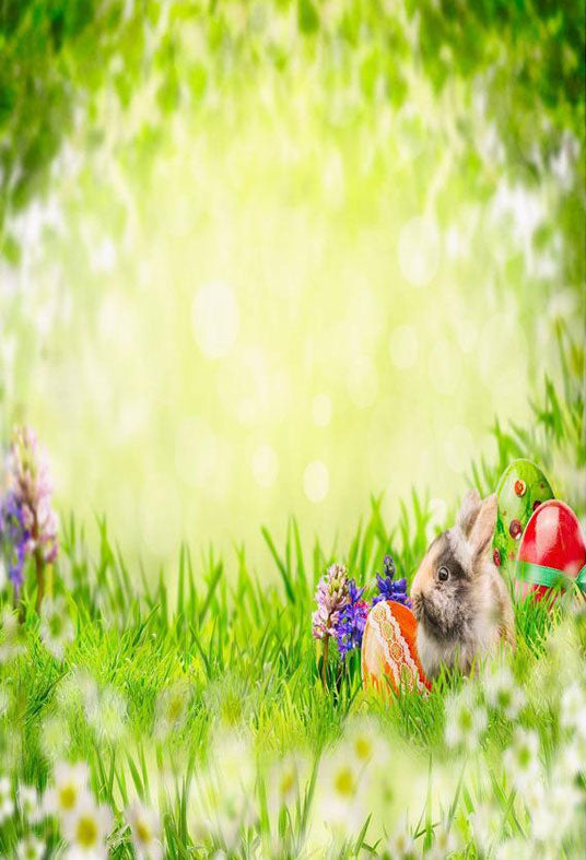 Toile de fond de bokeh Pâques vert herbe et lapin pour la photographie
