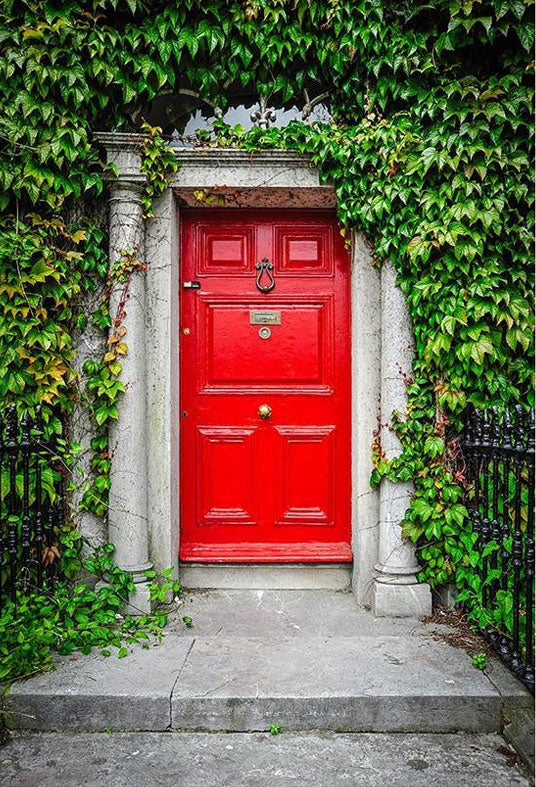 Toile de fond de porte rouge entourée de feuilles vertes pour la photographie