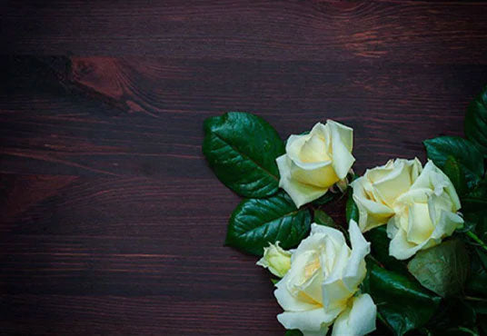 Toile de fond de fleurs blanches sur fond de mur en bois brun foncé pour la photographie de la fête des mères