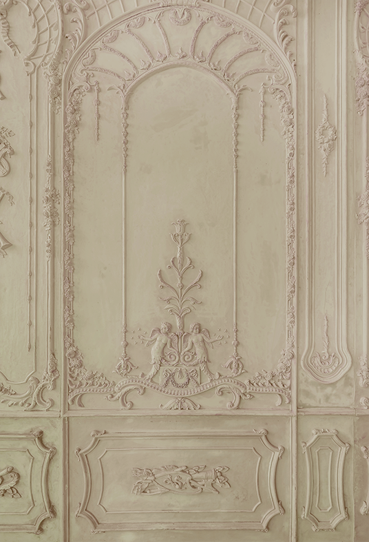 Toile de fond de mur vintage élégance rétro pour la photographie SBH0292