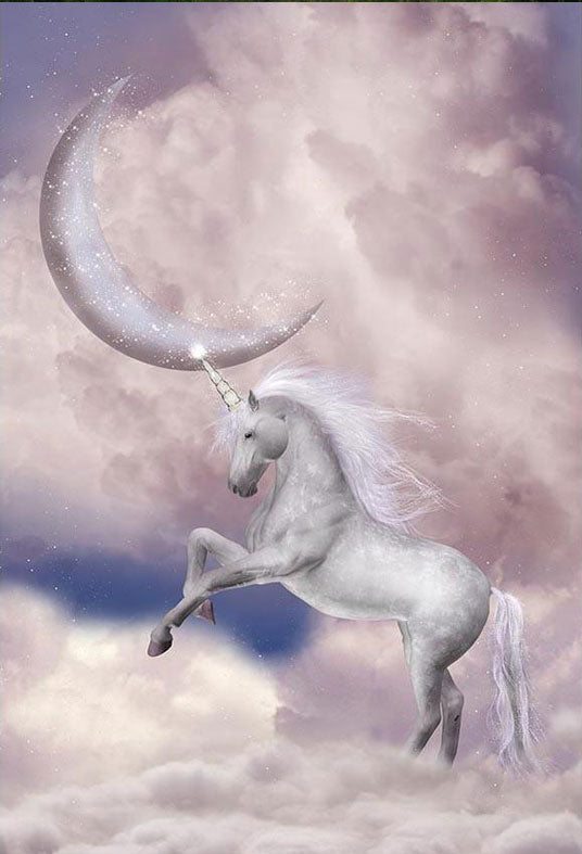 Toile de fond décors de nuages lumineux de licorne blanche pour la photographie