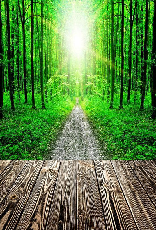 Toile de fond de route de la forêt verte et de soleil fond de photographie