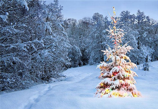 Toile de fond d'arbre de Noël d'hiver pour la forêt de neige