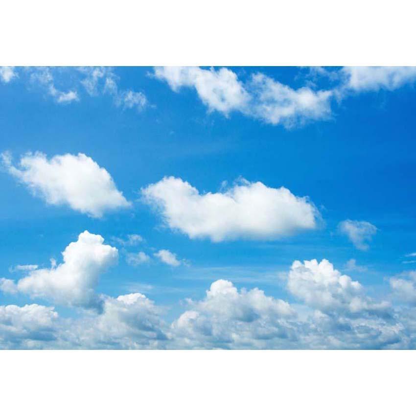 Blue sky and White Clouds Backdrop For Party Photography