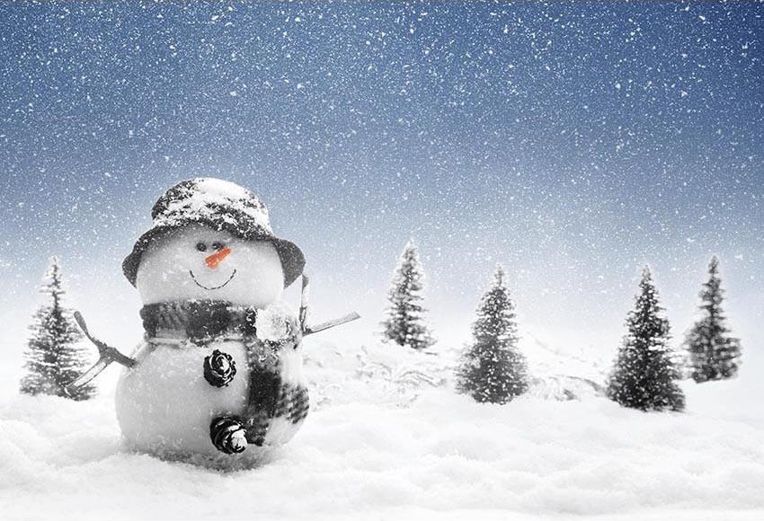 Toile de fond d'hiver bonhomme de neige Noël neige paillettes pin arbre décors pour la photographie