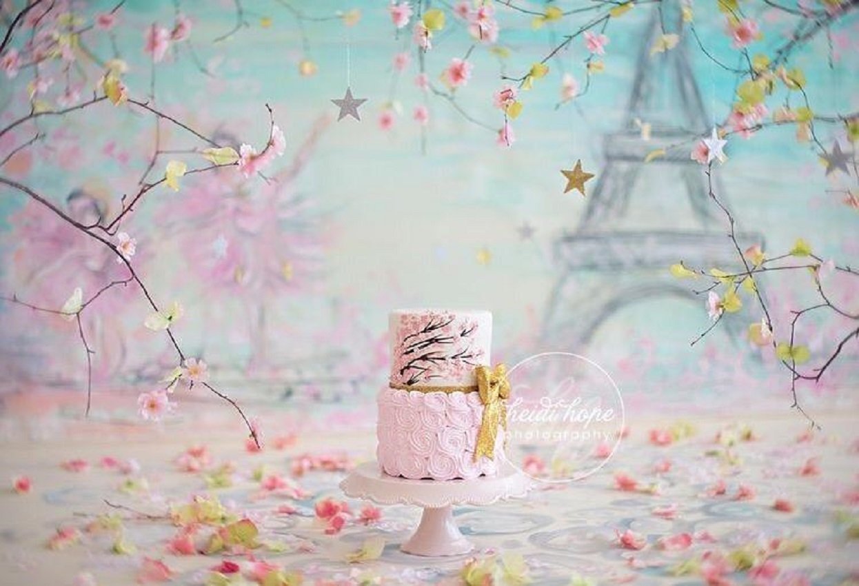Toile de fond décors d'anniversaire de Paris floral rose pour les accessoires de photomaton