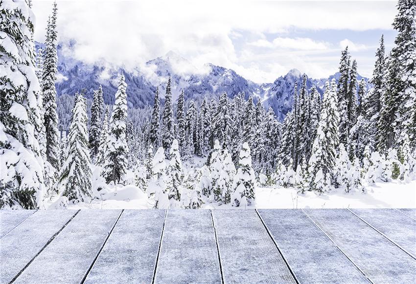 Toile de fond de photographie de neige d'hiver pour le studio