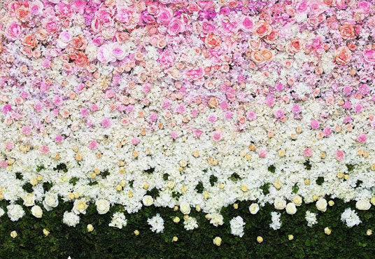 Toile de fond de mur de fleur dégradé imprimé pour la photographie