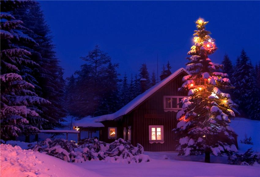 Toile de fond décors de photo d'hiver de neige rustique