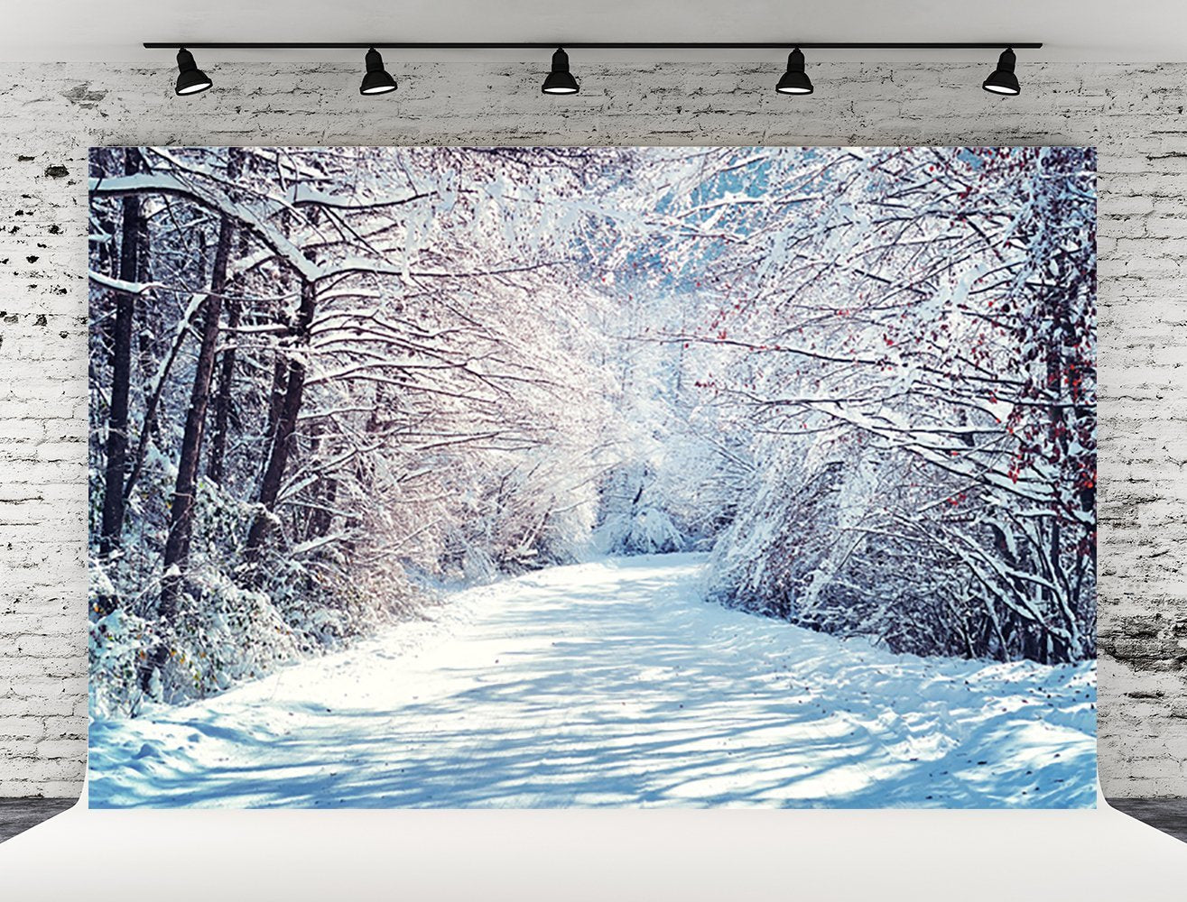 Toile de fond décors de photographie de branches de neige d'hiver pour Noël