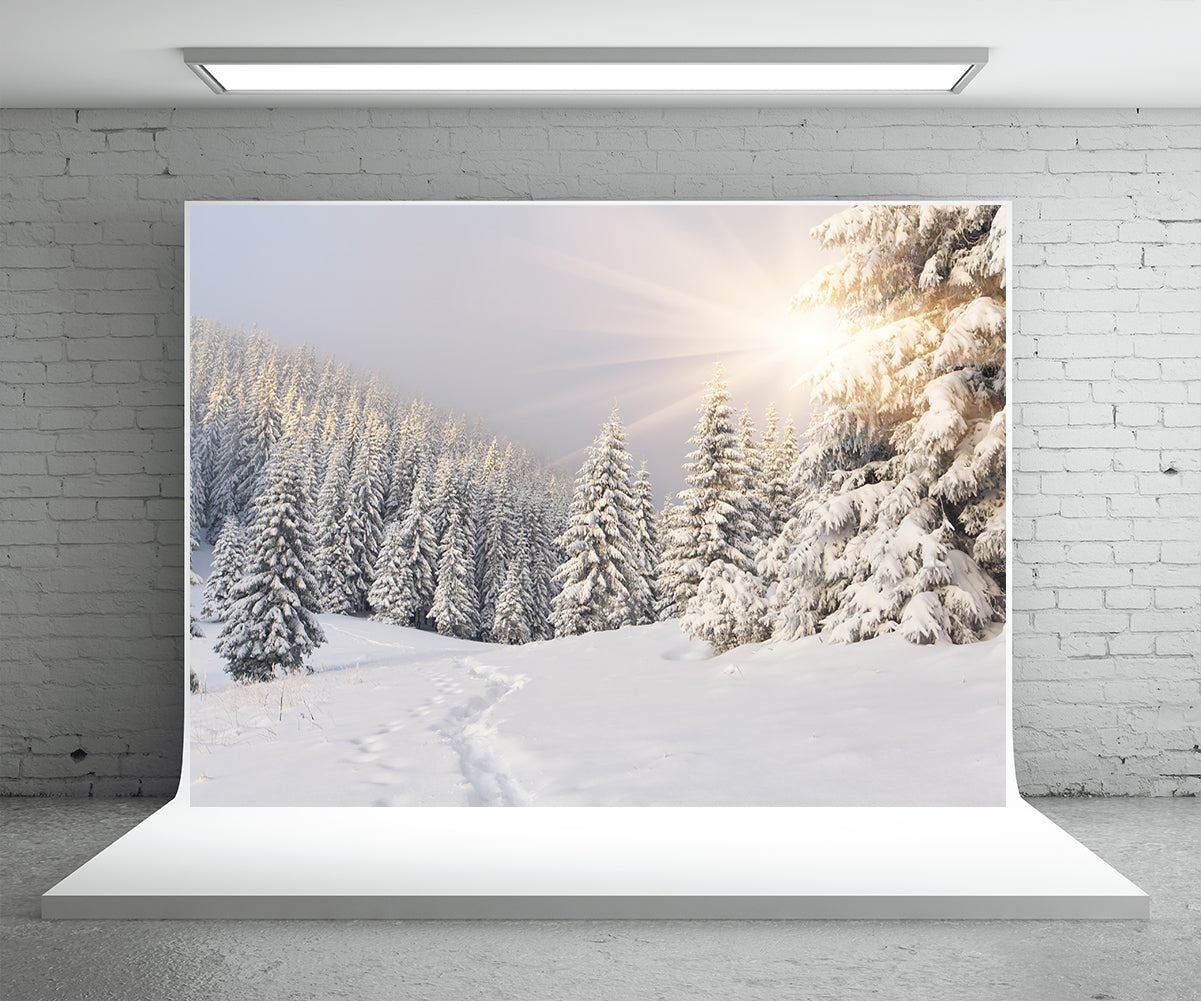 Toile de fond de couverture de neige forêt photographie d'hiver
