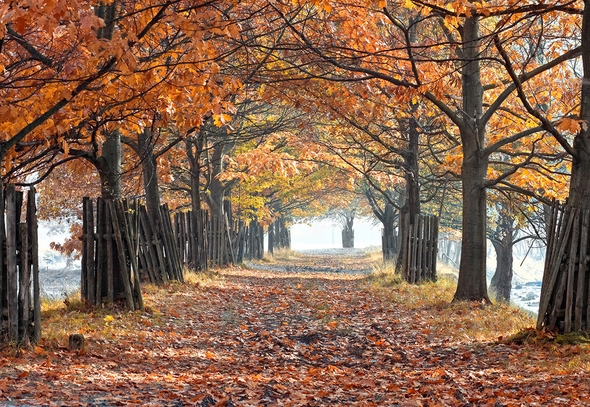 Toile de fond décors de forêt d'automne couverte de feuilles mortes