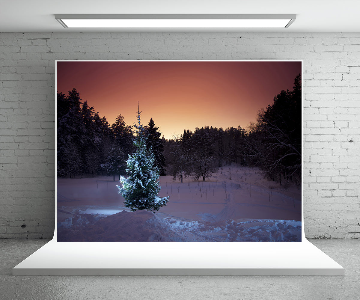 Toile de fond de photographie d'arbre de neige de nuit pour l'hiver