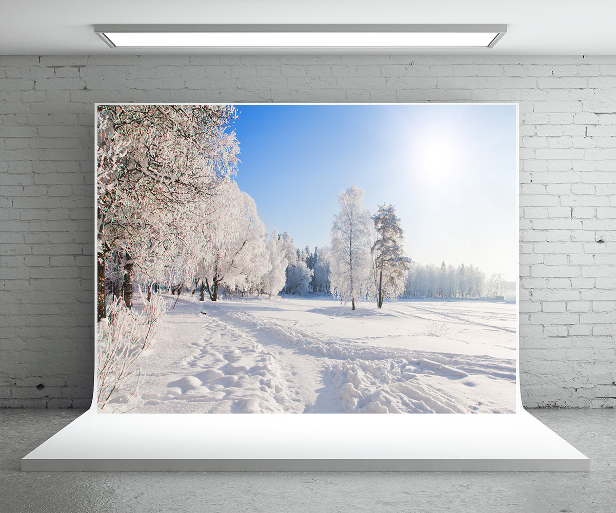 Toile de fond de photographie de route de neige blanche pour l'hiver