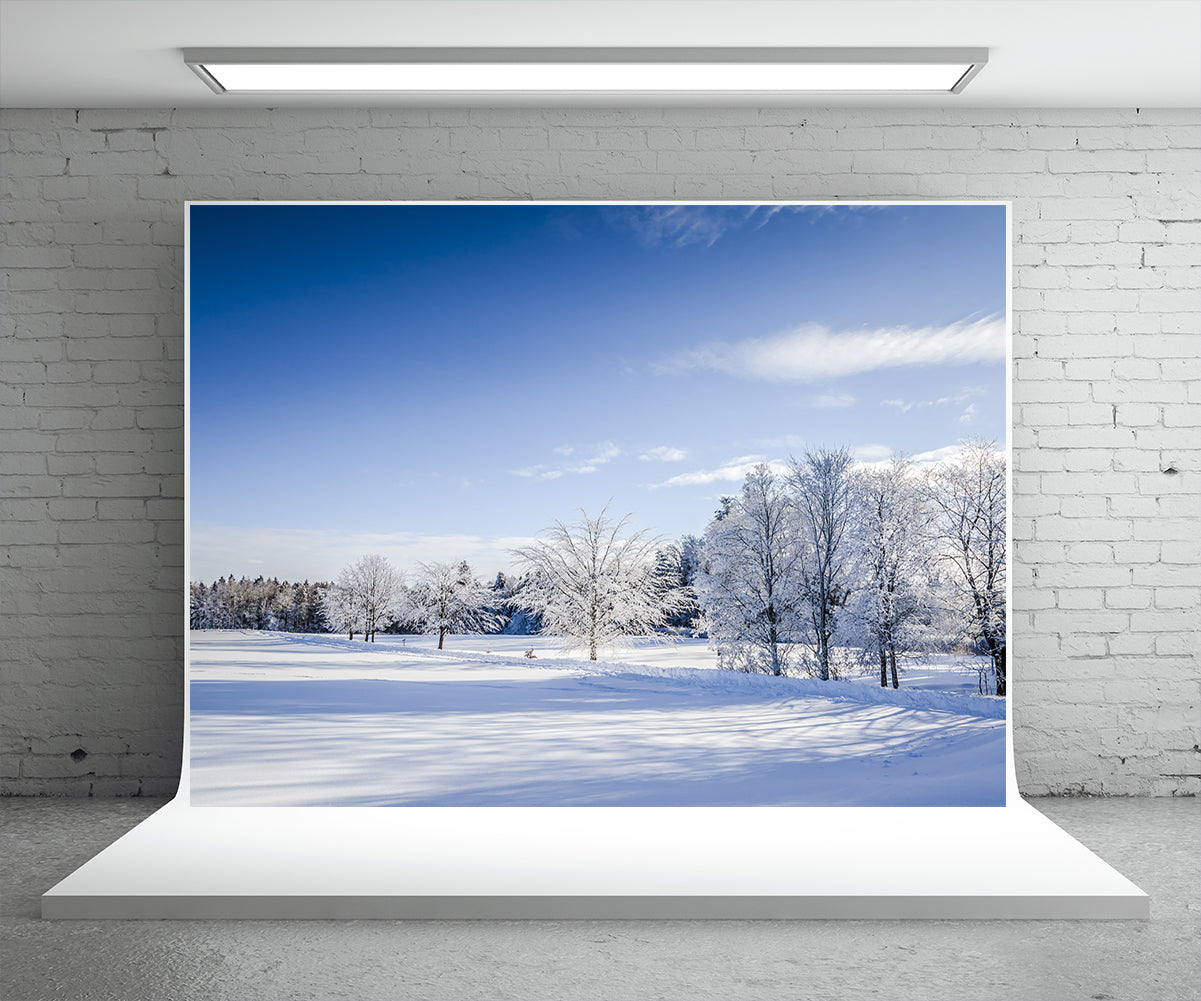 Toile de fond de photographie de neige blanche fond d'hiver