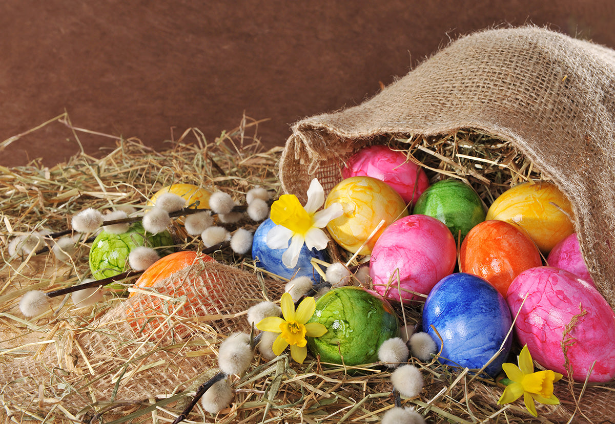 Toile de fond d'oeufs colorés en paille de Pâques marron