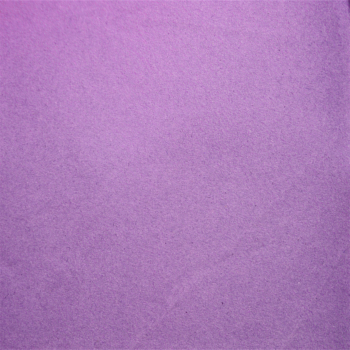 Toile de fond décors abstraite de photographie de motif d'orchidée moyenne