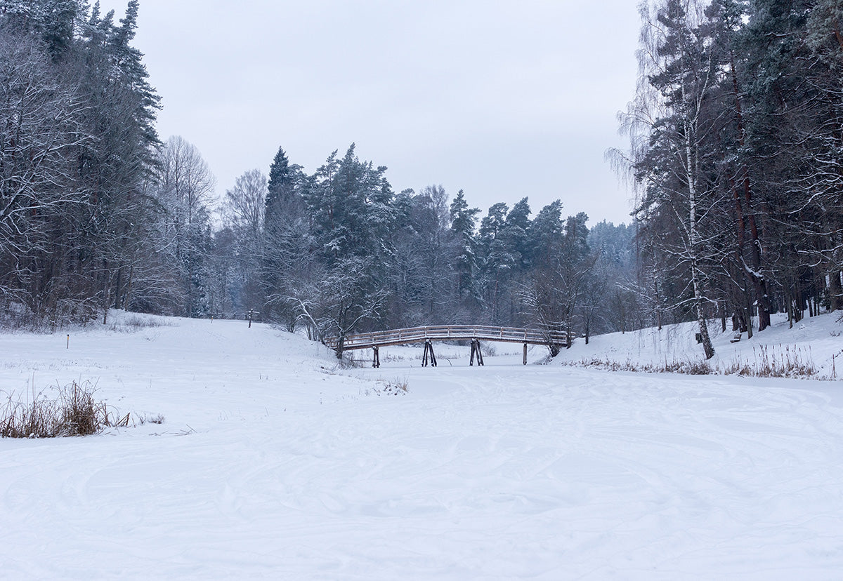 Toile de fond de neige rivière forêt hiver photographie