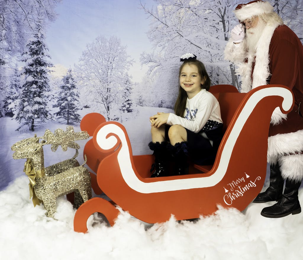 Toile de fond de branches de neige blanche d'hiver pour la photographie
