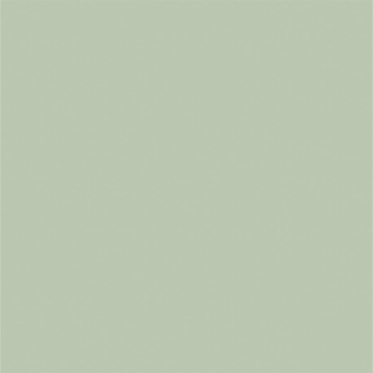 Light Green Solid Photo Backdrops for Portrait PHOTO