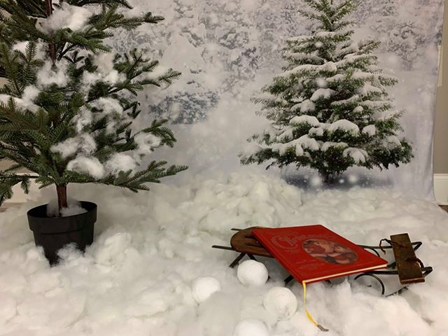 Toile de fond de photo de flocon de neige brillant de pin d'hiver de neige pour la fête