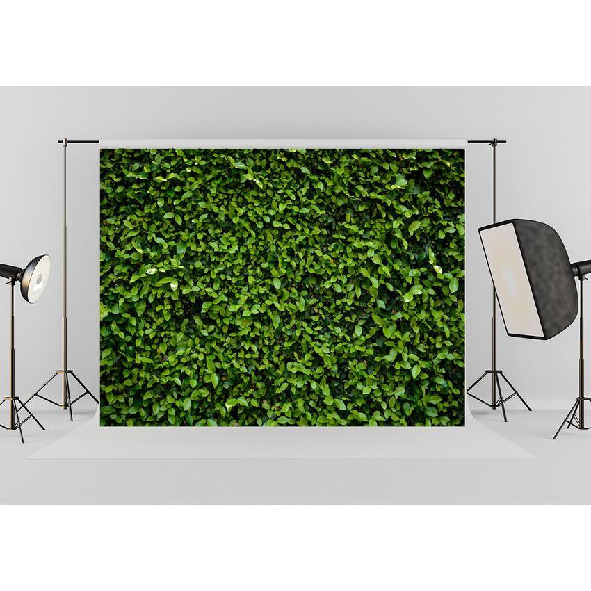 Toile de fond de printemps nature vert pelouse feuilles pour la photographie fond d'herbe