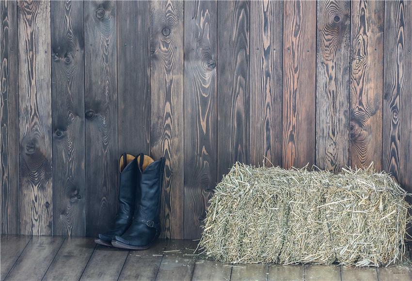 Toile de fond décors de photographie d'automne ouest en paille de bois gris foncé