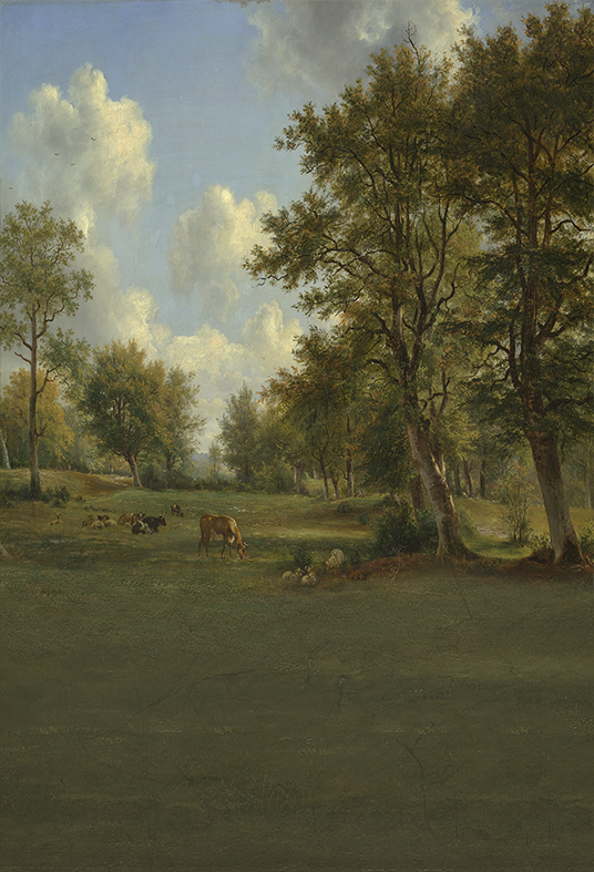 Toile de fond de photographie de paysage de peinture à l'huile SBH0332