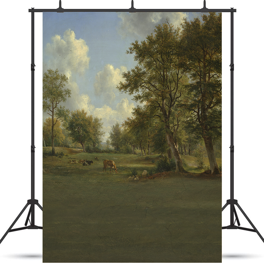 Toile de fond de photographie de paysage de peinture à l'huile SBH0332