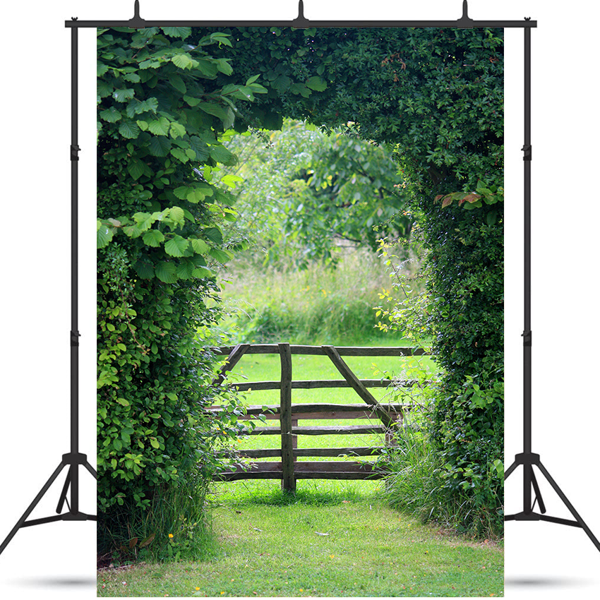 Toile de fond verte lumineuse et confortable pour la photographie de printemps SBH0356