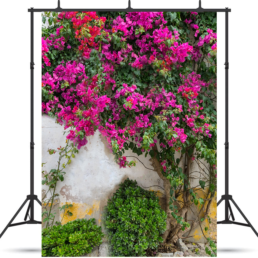 Toile de fond de fleurs violettes de printemps pour la photographie SBH0361