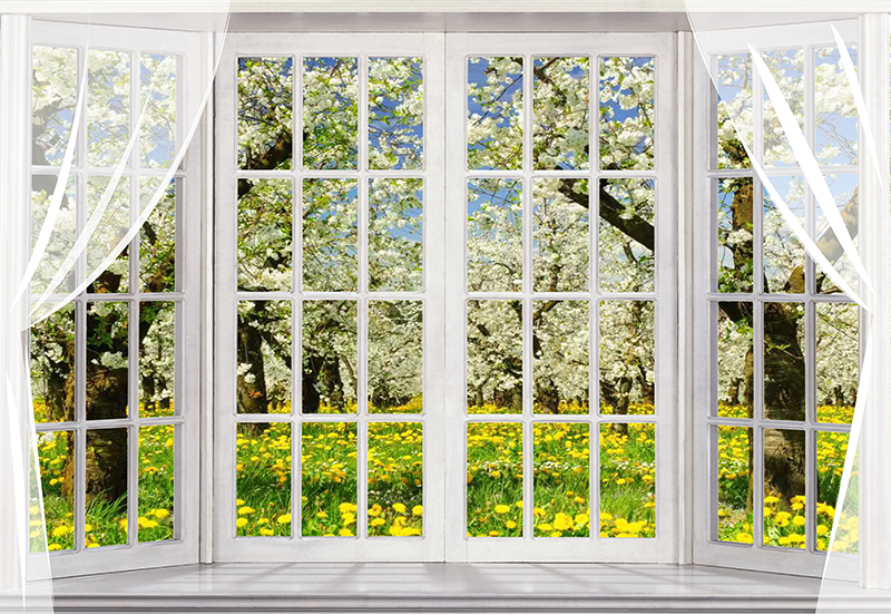 Toile de fond de pommiers en fleurs de printemps de photographie SBH0364