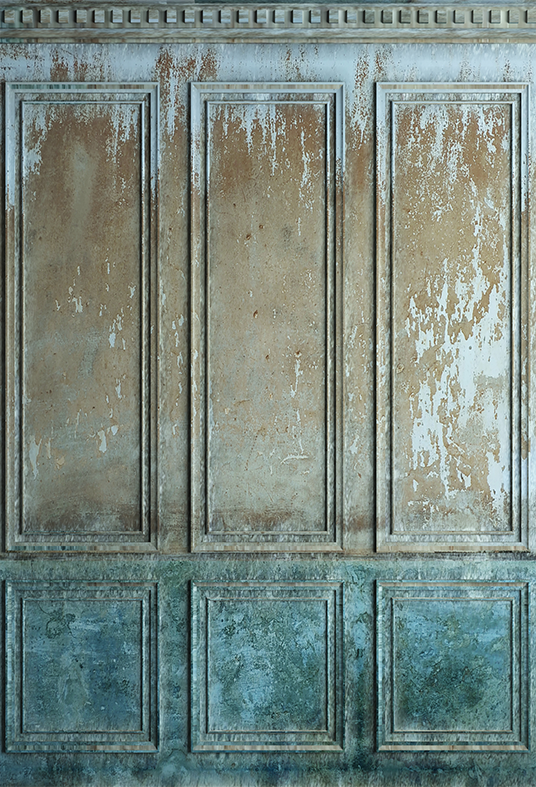 Toile de fond de vieux mur de peinture en stuc de photographie SBH0393