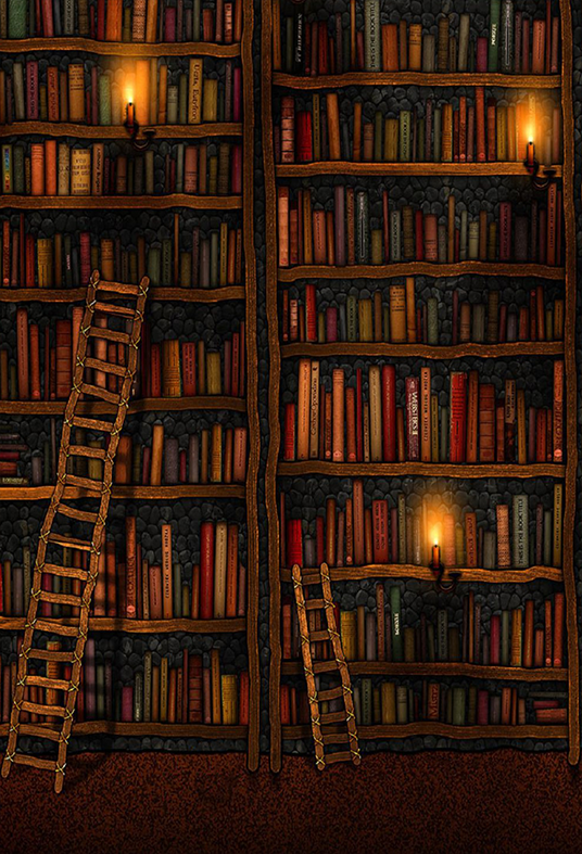 Toile de fond de photographie de cabinet de livres de bibliothèque sombre vintage SBH0398