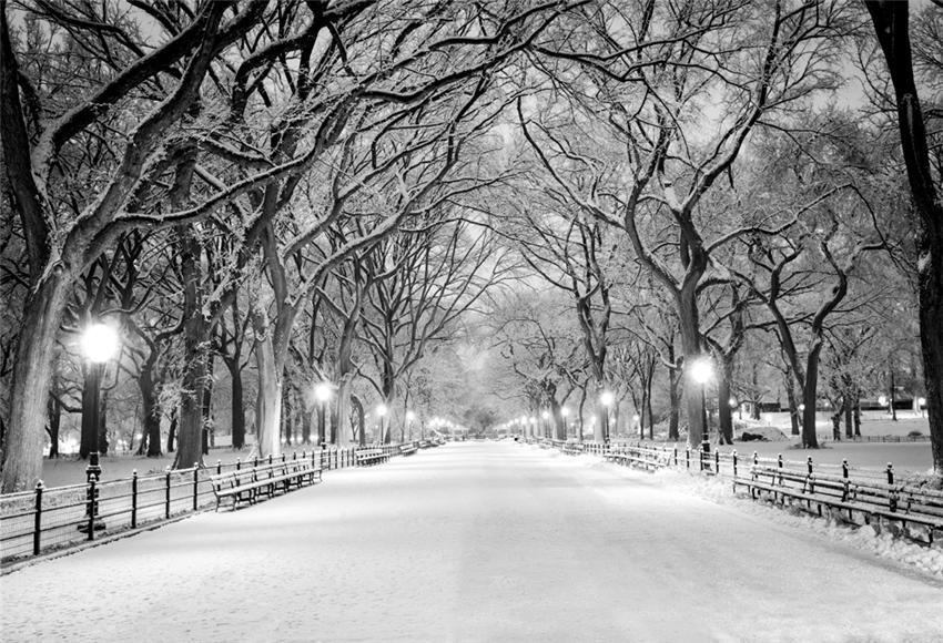Toile de fond de studio photo de rue de neige d'hiver