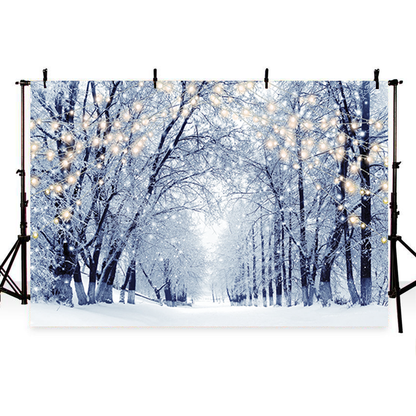 Toile de fond de paysage d'hiver d'arbres givrés pour la photographie SBH0244
