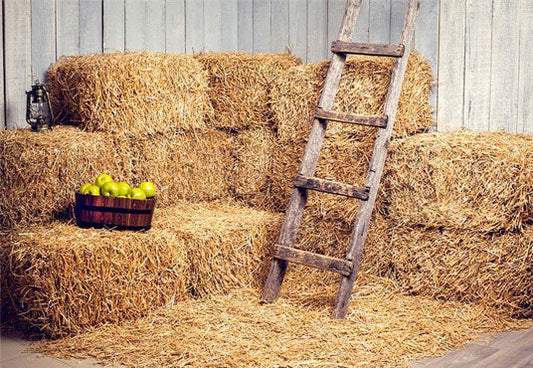 Toile de fond de photographie d'automne en paille de bois