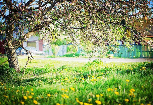 Toile de fond de de décors de sol d'herbe verte de fleurs de printemps pour la photographie