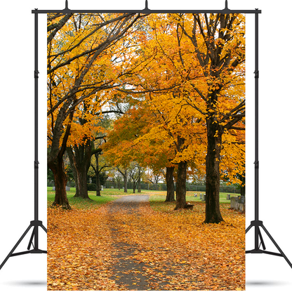 Toile de fond de feuilles de forêt de vue d'automne pour la photographie SBH0191