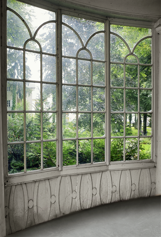 Toile de fond de jardin d'hiver ancien pour la photographie SBH0251