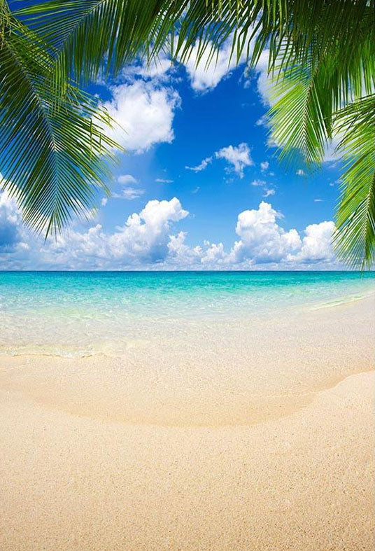 Toile de fond de paysages magnifiques en bord de mer pour la photographie de vocation relaxants