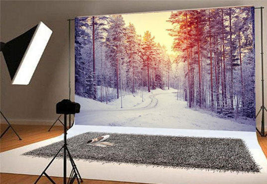 Toile de fond de pin de forêt d'hiver de coucher du soleil pour la photographie