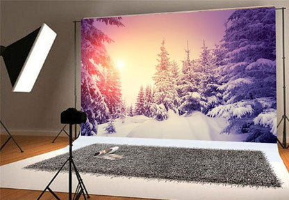 Toile de fond décors de photographie de coucher de soleil d'hiver