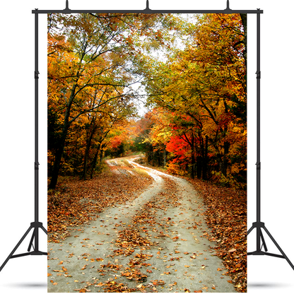 Toile de fond d'allée route dans le parc d'automne pour la photographie SBH0192