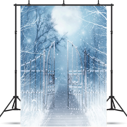 Toile de fond de paysage de neige d'hiver avec porte pour la photographie SBH0285