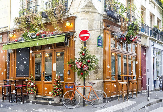 Toile de fond décors de studio de photo de neige de rue de Noël